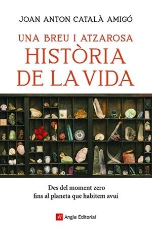 UNA BREU I ATZAROSA HISTÒRIA DE LA VIDA | 9788418197956 | CATALÀ AMIGÓ, JOAN ANTON | Llibreria Aqualata | Comprar libros en catalán y castellano online | Comprar libros Igualada