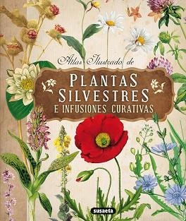 PLANTAS SILVESTRES E INFUSIONES CURATIVAS | 9788467722864 | TOMANOVÁ, ELISKA | Llibreria Aqualata | Comprar llibres en català i castellà online | Comprar llibres Igualada