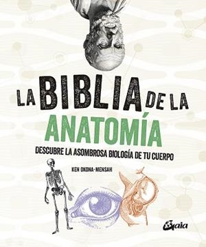 BIBLIA DE LA ANATOMÍA, LA | 9788484459521 | OKONA-MENSAH, KEN | Llibreria Aqualata | Comprar libros en catalán y castellano online | Comprar libros Igualada