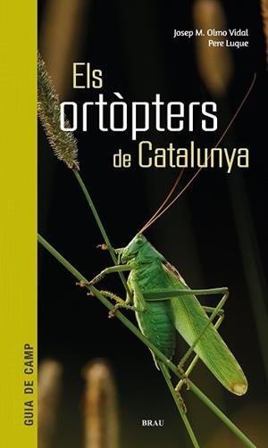 ORTÒPTERS DE CATALUNYA, ELS | 9788418096266 | OLMO VIDAL, JOSEP M / LUQUE PINO, PERE | Llibreria Aqualata | Comprar libros en catalán y castellano online | Comprar libros Igualada