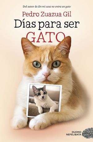 DÍAS PARA SER GATO | 9788417128524 | ZUAZUA GIL, PEDRO | Llibreria Aqualata | Comprar libros en catalán y castellano online | Comprar libros Igualada