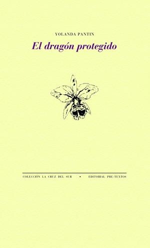 DRAGÓN PROTEGIDO, EL | 9788418178788 | PANTIN, YOLANDA | Llibreria Aqualata | Comprar llibres en català i castellà online | Comprar llibres Igualada
