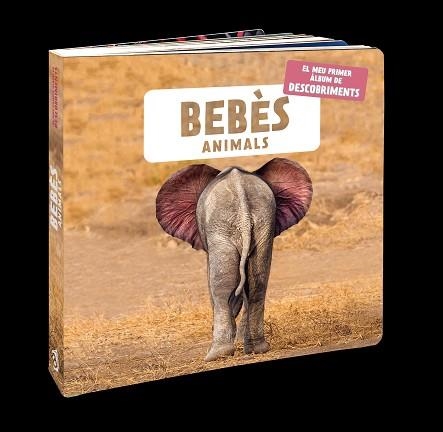 BEBÈS ANIMALS | 9788418762109 | NATURAGENCY | Llibreria Aqualata | Comprar libros en catalán y castellano online | Comprar libros Igualada