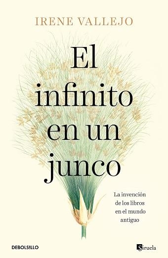 INFINITO EN UN JUNCO, EL | 9788466358293 | VALLEJO, IRENE | Llibreria Aqualata | Comprar libros en catalán y castellano online | Comprar libros Igualada