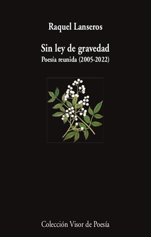 SIN LEY DE GRAVEDAD | 9788498954654 | LANSEROS, RAQUEL | Llibreria Aqualata | Comprar libros en catalán y castellano online | Comprar libros Igualada
