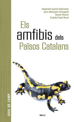 AMFIBIS DELS PAÏSOS CATALANS, ELS | 9788418096341 | GARCÍA SALMERÓN, ALEJANDRO/MALUQUER MARGALEF, JOAN/RIVERA MULA, XAVIER/PUJOL BUXÓ, EUDALD | Llibreria Aqualata | Comprar libros en catalán y castellano online | Comprar libros Igualada