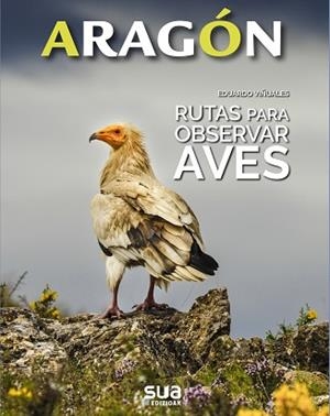 RUTAS PARA OBSERVAR AVES | 9788482167206 | VIÑUALES COBOS, EDUARDO | Llibreria Aqualata | Comprar libros en catalán y castellano online | Comprar libros Igualada