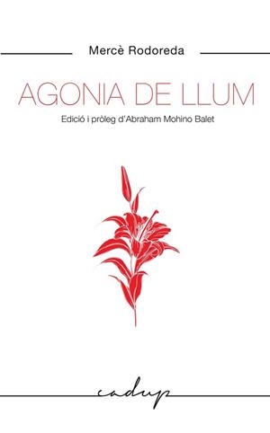 AGONIA DE LLUM | 9788412455748 | RODOREDA, MERCÈ | Llibreria Aqualata | Comprar llibres en català i castellà online | Comprar llibres Igualada