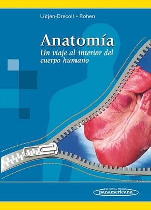 ANATOMÍA. UN VIAJE AL INTERIOR DEL CUERPO HUMANO | 9789500602853 | LÜTJEN-DRECOLL, ELKE | Llibreria Aqualata | Comprar libros en catalán y castellano online | Comprar libros Igualada