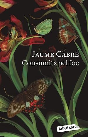CONSUMITS PEL FOC | 9788419107206 | CABRÉ, JAUME | Llibreria Aqualata | Comprar llibres en català i castellà online | Comprar llibres Igualada