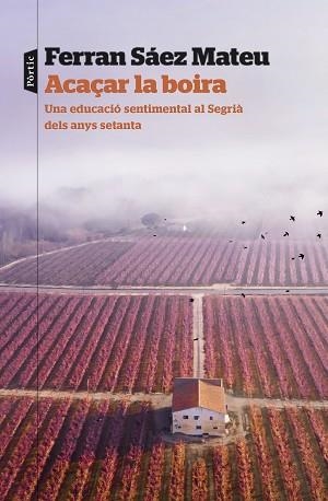 ACAÇAR LA BOIRA | 9788498095203 | SAEZ MATEU, FERRAN | Llibreria Aqualata | Comprar libros en catalán y castellano online | Comprar libros Igualada