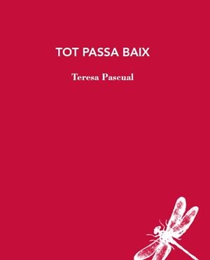 TOT PASSA BAIX | 9788412577426 | PASCUAL, TERESA | Llibreria Aqualata | Comprar llibres en català i castellà online | Comprar llibres Igualada