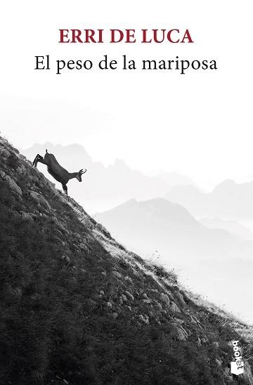 PESO DE LA MARIPOSA, EL | 9788432241109 | DE LUCA, ERRI | Llibreria Aqualata | Comprar libros en catalán y castellano online | Comprar libros Igualada