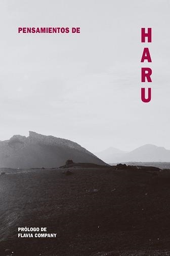 PENSAMIENTOS DE HARU | 9788418223495 | COMPANY, FLAVIA | Llibreria Aqualata | Comprar libros en catalán y castellano online | Comprar libros Igualada