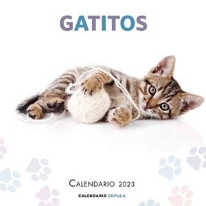2023 CALENDARIO GATITOS | 9788448029784 | AA. VV. | Llibreria Aqualata | Comprar llibres en català i castellà online | Comprar llibres Igualada