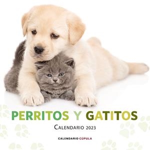 2023 CALENDARIO PERRITOS Y GATITOS | 9788448029807 | AA. VV. | Llibreria Aqualata | Comprar llibres en català i castellà online | Comprar llibres Igualada