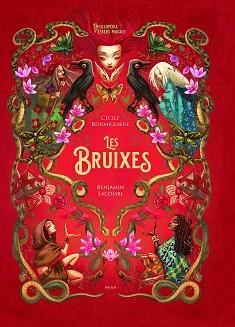 BRUIXES, LES | 9788447948987 | ROUMIGUIÈRE, CÉCILE | Llibreria Aqualata | Comprar libros en catalán y castellano online | Comprar libros Igualada