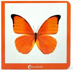 NARANJA | 9788412534443 | NOWORDBOOKS | Llibreria Aqualata | Comprar llibres en català i castellà online | Comprar llibres Igualada