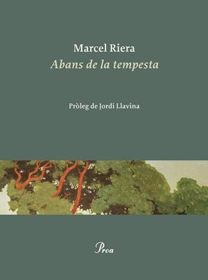 ABANS DE LA TEMPESTA | 9788475889900 | RIERA, MARCEL | Llibreria Aqualata | Comprar llibres en català i castellà online | Comprar llibres Igualada