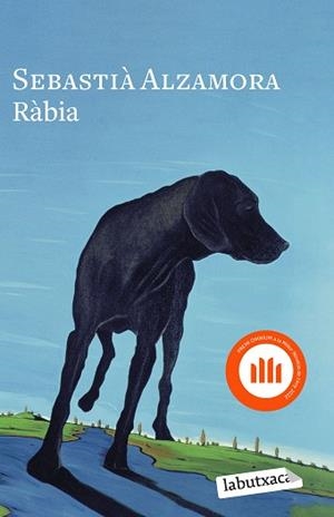 RÀBIA | 9788419107404 | ALZAMORA, SEBASTIÀ | Llibreria Aqualata | Comprar libros en catalán y castellano online | Comprar libros Igualada