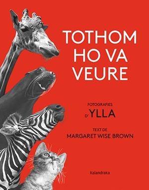TOTHOM HO VA VEURE | 9788418558580 | BROWN, MARGARET WISE | Llibreria Aqualata | Comprar llibres en català i castellà online | Comprar llibres Igualada
