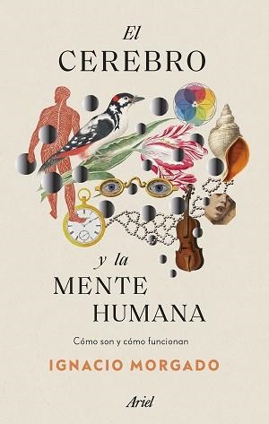 CEREBRO Y LA MENTE HUMANA, EL | 9788434435988 | MORGADO, IGNACIO | Llibreria Aqualata | Comprar libros en catalán y castellano online | Comprar libros Igualada
