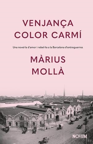 VENJANÇA COLOR CARMÍ | 9788419311771 | MOLLÀ, MÀRIUS | Llibreria Aqualata | Comprar llibres en català i castellà online | Comprar llibres Igualada