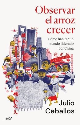 OBSERVAR EL ARROZ CRECER | 9788434436022 | CEBALLOS, JULIO | Llibreria Aqualata | Comprar libros en catalán y castellano online | Comprar libros Igualada