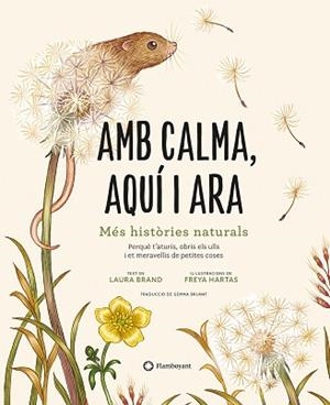AMB CALMA, AQUÍ I ARA | 9788419401120 | BRAND, LAURA | Llibreria Aqualata | Comprar libros en catalán y castellano online | Comprar libros Igualada