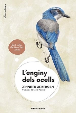 ENGINY DELS OCELLS, L' | 9788413562544 | ACKERMAN, JENNIFER | Llibreria Aqualata | Comprar libros en catalán y castellano online | Comprar libros Igualada