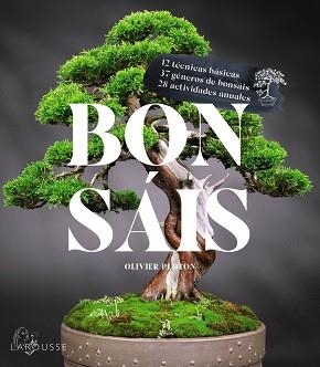 BONSÁIS | 9788419436610 | SAMSON, RÉMY / SAMSON, ISABELLE | Llibreria Aqualata | Comprar llibres en català i castellà online | Comprar llibres Igualada