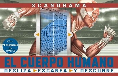 SCANORAMA. EL CUERPO HUMANO | 9788469667620 | CLAYBOURNE, ANNA | Llibreria Aqualata | Comprar libros en catalán y castellano online | Comprar libros Igualada