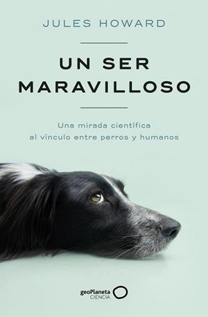 UN SER MARAVILLOSO | 9788408269328 | HOWARD, JULES | Llibreria Aqualata | Comprar llibres en català i castellà online | Comprar llibres Igualada