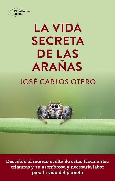 VIDA SECRETA DE LAS ARAÑAS, LA | 9788419655189 | OTERO, JOSÉ CARLOS | Llibreria Aqualata | Comprar libros en catalán y castellano online | Comprar libros Igualada