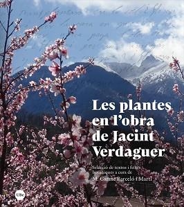 PLANTES EN L’OBRA DE JACINT VERDAGUER, LES | 9788447540792 | BARCELÓ I MARTÍ, MARIA CARME | Llibreria Aqualata | Comprar libros en catalán y castellano online | Comprar libros Igualada