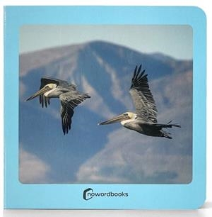 AVES | 9788412534498 | AA.VV. | Llibreria Aqualata | Comprar libros en catalán y castellano online | Comprar libros Igualada
