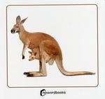 ANIMALES SALVAJES Y SUS CRIAS | 9788412683639 | NOWORDBOOKS | Llibreria Aqualata | Comprar libros en catalán y castellano online | Comprar libros Igualada