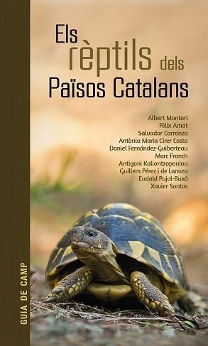 RÈPTILS DELS PAÏSOS CATALANS, ELS | 9788418096570 | AA..VV. | Llibreria Aqualata | Comprar libros en catalán y castellano online | Comprar libros Igualada