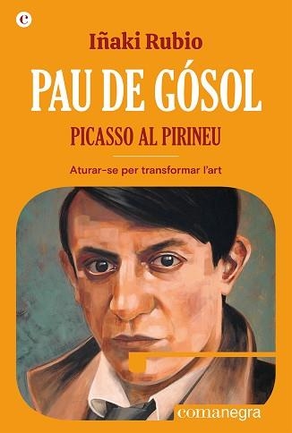PAU DE GÓSOL. PICASSO AL PIRINEU | 9788419590404 | RUBIO, IÑAKI | Llibreria Aqualata | Comprar libros en catalán y castellano online | Comprar libros Igualada