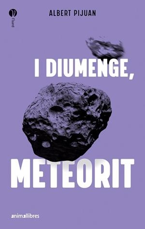 I DIUMENGE, METEORIT | 9788419659415 | PIJUAN, ALBERT | Llibreria Aqualata | Comprar libros en catalán y castellano online | Comprar libros Igualada