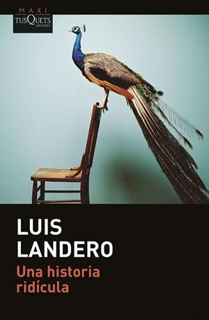 UNA HISTORIA RIDÍCULA | 9788411073288 | LANDERO, LUIS | Llibreria Aqualata | Comprar llibres en català i castellà online | Comprar llibres Igualada