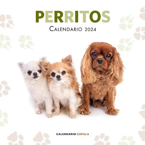 2024 CALENDARIO PERRITOS | 9788448038069 | AA. VV. | Llibreria Aqualata | Comprar libros en catalán y castellano online | Comprar libros Igualada