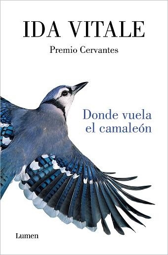 DONDE VUELA EL CAMALEÓN | 9788426416926 | VITALE, IDA | Llibreria Aqualata | Comprar libros en catalán y castellano online | Comprar libros Igualada