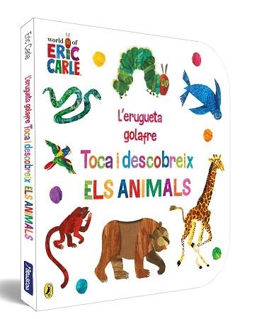 ERUGUETA GOLAFRE, L'. TOCA I DESCOBREIX ELS ANIMALS | 9788448864941 | CARLE, ERIC | Llibreria Aqualata | Comprar libros en catalán y castellano online | Comprar libros Igualada