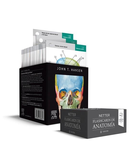 NETTER. FLASHCARDS DE ANATOMÍA | 9788413823874 | HANSEN, JOHN T. | Llibreria Aqualata | Comprar libros en catalán y castellano online | Comprar libros Igualada