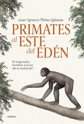 PRIMATES AL ESTE DEL EDÉN | 9788491995869 | PÉREZ IGLESIAS, JUAN IGNACIO | Llibreria Aqualata | Comprar libros en catalán y castellano online | Comprar libros Igualada