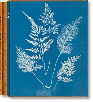ANNA ATKINS. CYANOTYPES | 9783836596039 | WALTHER, PETER | Llibreria Aqualata | Comprar libros en catalán y castellano online | Comprar libros Igualada
