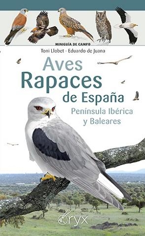 AVES RAPACES DE ESPAÑA, PENÍNSULA IBÉRICA Y BALEARES | 9788418735394 | LLOBET, TONI / DE JUANA, EDUARDO | Llibreria Aqualata | Comprar libros en catalán y castellano online | Comprar libros Igualada