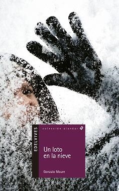 UN LOTO EN LA NIEVE (ALANDAR 12 AÑOS 42) | 9788426352170 | MOURE, GONZALO | Llibreria Aqualata | Comprar libros en catalán y castellano online | Comprar libros Igualada