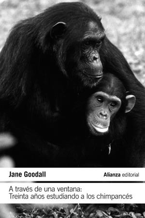 A TRAVÉS DE UNA VENTANA: TREINTA AÑOS ESTUDIANDO A LOS CHIMPANCÉS | 9788411485609 | GOODALL, JANE | Llibreria Aqualata | Comprar llibres en català i castellà online | Comprar llibres Igualada